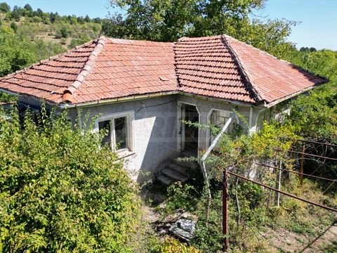 Apriltsi Häuser, Apriltsi Haus kaufen