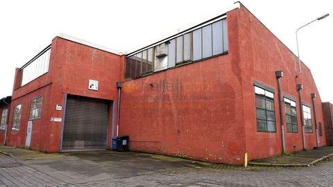 Hannover Halle, Hannover Hallenfläche