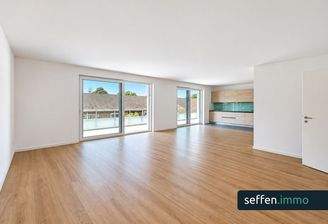 Wohnbereich mit Zugang zu Dachterrasse 