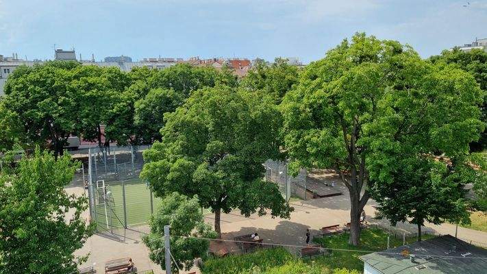 View from balcony on park