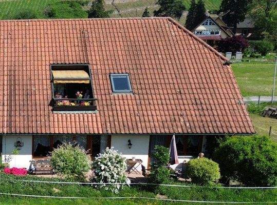 W2: EG-4,5-Zi.-ETW  mit Sonnenterrasse u. Rasenfläche