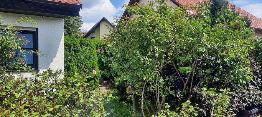 Straßenansicht Grundstück