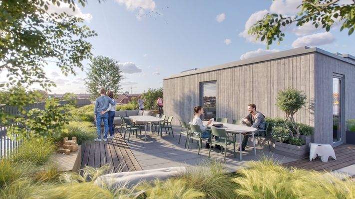 Gemeinschaftlicher Dachgarten