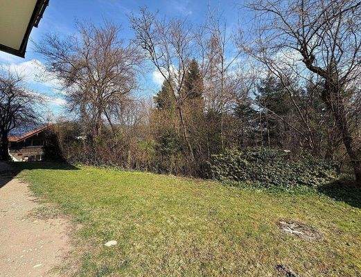 Gemeinschaftsgarten_2