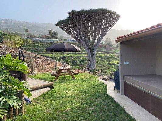 WhatsApp Image 2025-05-01 at 12.52.09 (1).jpeg