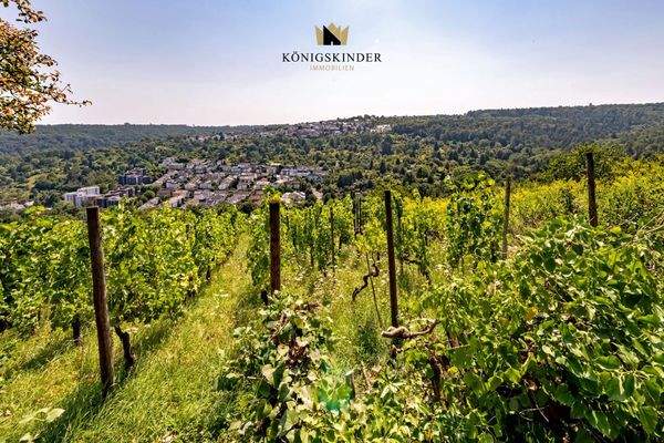 Aussicht_Garten_DSC3938