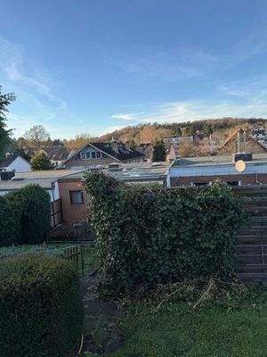 Blick aus dem Garten