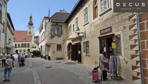 Mödling Wohnungen, Mödling Wohnung kaufen