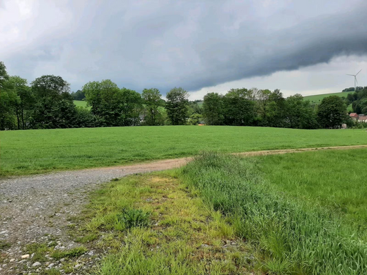 ec54e1c8-ecbb-4e87-b395-cd3d98dcba5e