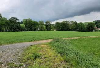 ec54e1c8-ecbb-4e87-b395-cd3d98dcba5e