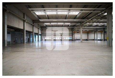 Reinsberg Halle, Reinsberg Hallenfläche