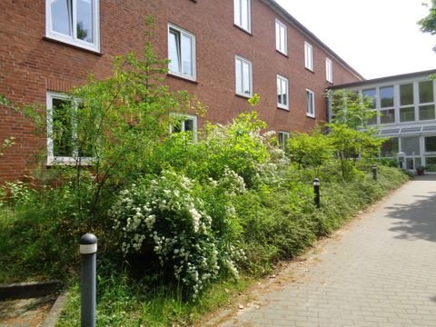 Lüneburg Büros, Büroräume, Büroflächen 