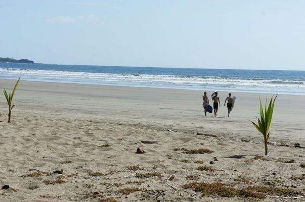 ImmoScout360 Palya Coyote 4