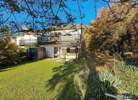 Breitenbrunn am Neusiedler See Häuser, Breitenbrunn am Neusiedler See Haus kaufen