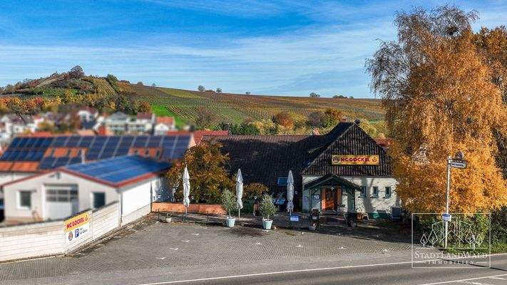 Blick über das Restaurant und die Weinberge