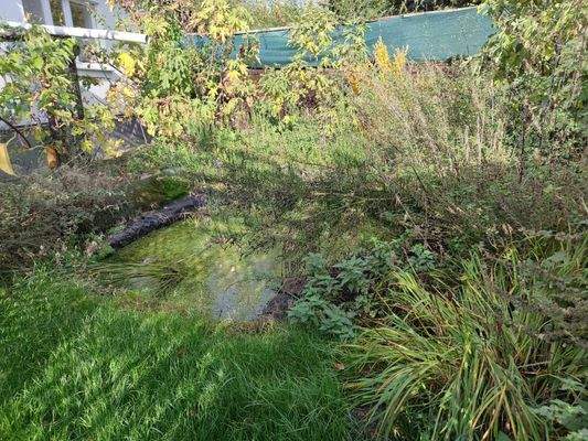 Foto 011 Maierbusch 15.jpg