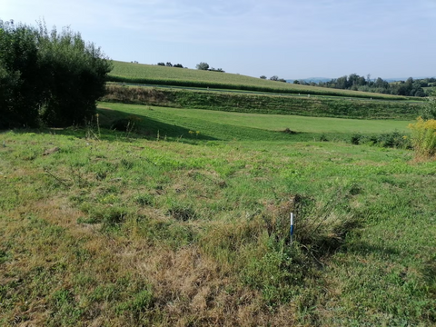 Hauzenberg Grundstücke, Hauzenberg Grundstück kaufen