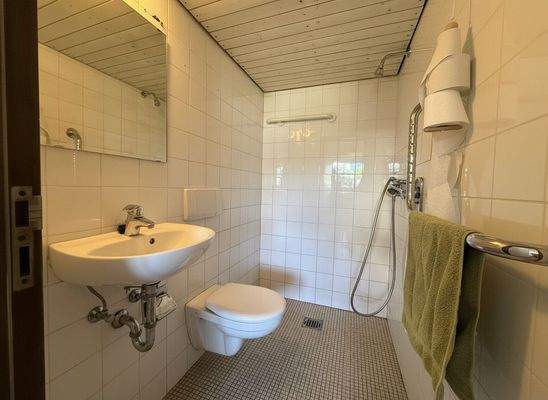 Duschbad Erdgeschoss