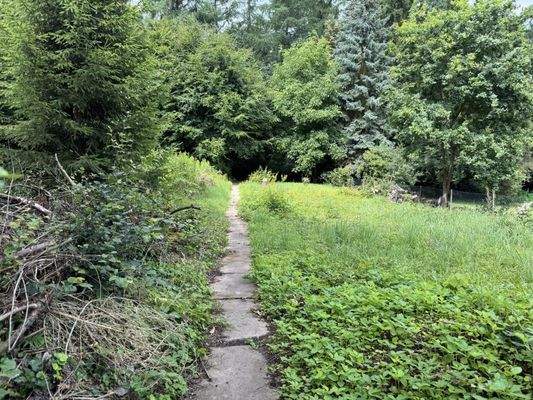 Naturbelassenes Grundstück