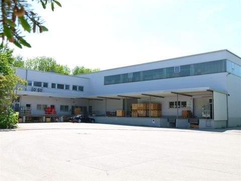 Planegg Halle, Planegg Hallenfläche