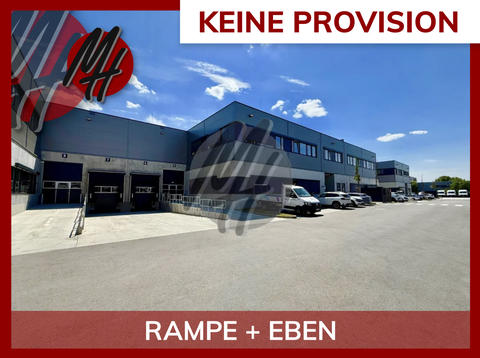 Mörfelden-Walldorf Halle, Mörfelden-Walldorf Hallenfläche