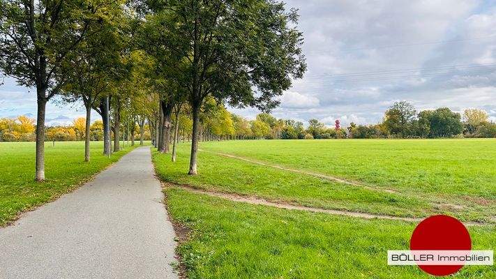 Wiesengrund | Rednitzauen!
