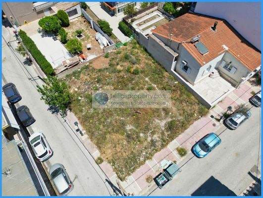 31d13e631db24415b9adf019c5eb2885-original