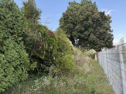 untere Grundstücksbereich