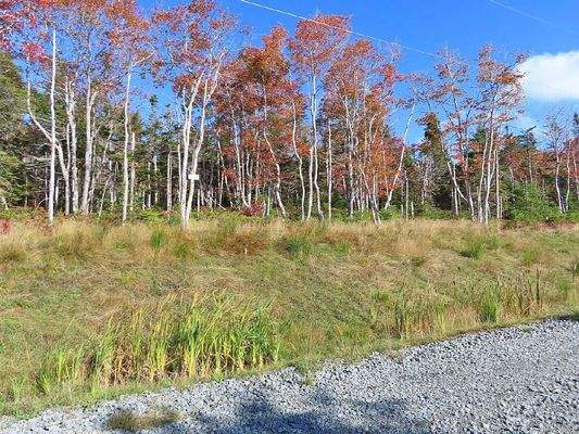 Cape Breton - Traumhaft schöne Atlantik-Lage - Pre
