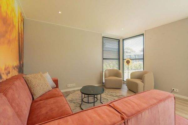 Luxus Wohnzimmer Chalet Schouwen Duin Mit Künstlerischem Wandgemälde002