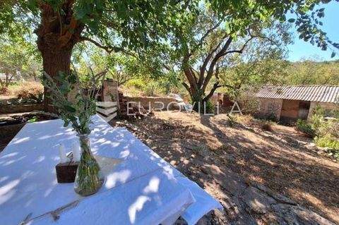 Vis Häuser, Vis Haus kaufen