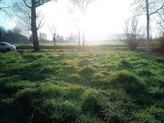 7 - Blick von der Grundstücksgrenze