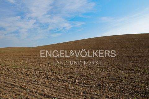 Oranienburg Bauernhöfe, Landwirtschaft, Oranienburg Forstwirtschaft