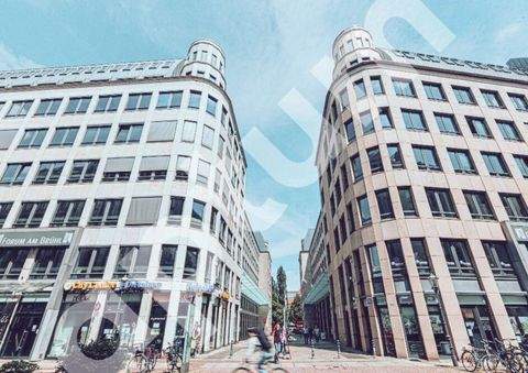 Leipzig Ladenlokale, Ladenflächen 