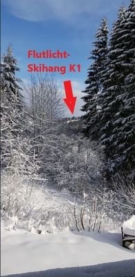 Blick aus Küchen-Fenster
