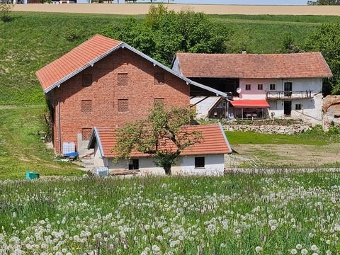 Kastl Häuser, Kastl Haus kaufen