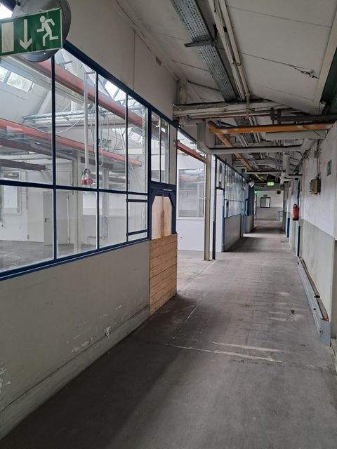 Ense Halle, Ense Hallenfläche