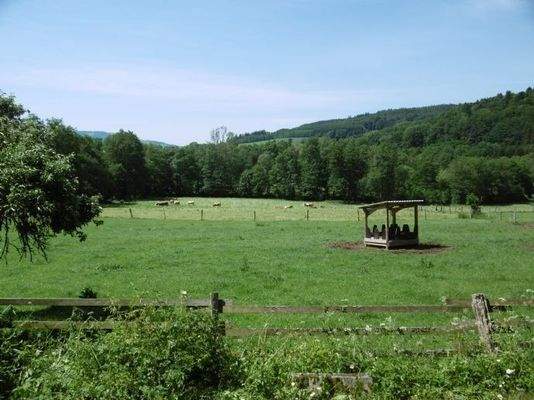 Aussicht Gastro II und Einfamilienhaus