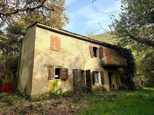 WhatsApp Image 2024-11-05 at 11.23.59 (5).jpeg