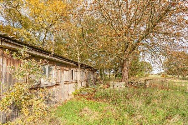 Rückansicht Hühnerstall