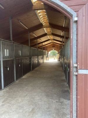 Moderne Stallungen
