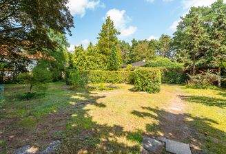 Natürlich gewachsen – Garten mit Baumbestand