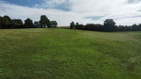 Sankt Leonhard am Forst Bauernhöfe, Landwirtschaft, Sankt Leonhard am Forst Forstwirtschaft