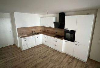 Küche mit Einbauküche