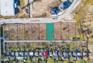 Orthofoto P31, 240325.jpg