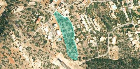 Kreta Bauernhöfe, Landwirtschaft, Kreta Forstwirtschaft