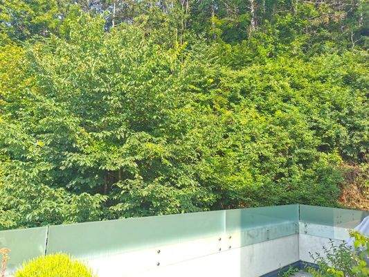 Terrasse mit Grünblick