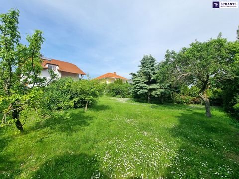 Großhöflein Häuser, Großhöflein Haus kaufen