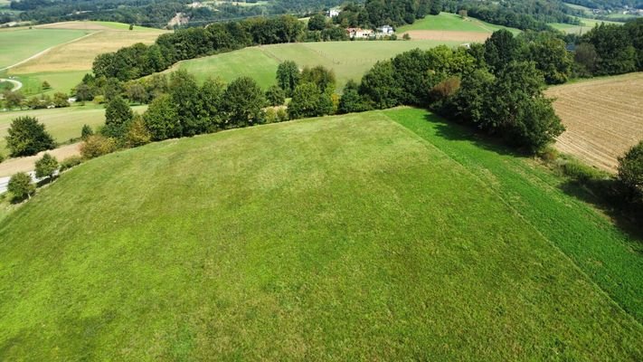 Wiese St. Leonhard am Forst