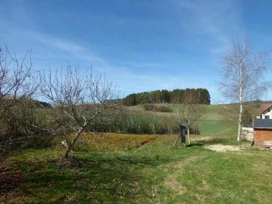 P1230689